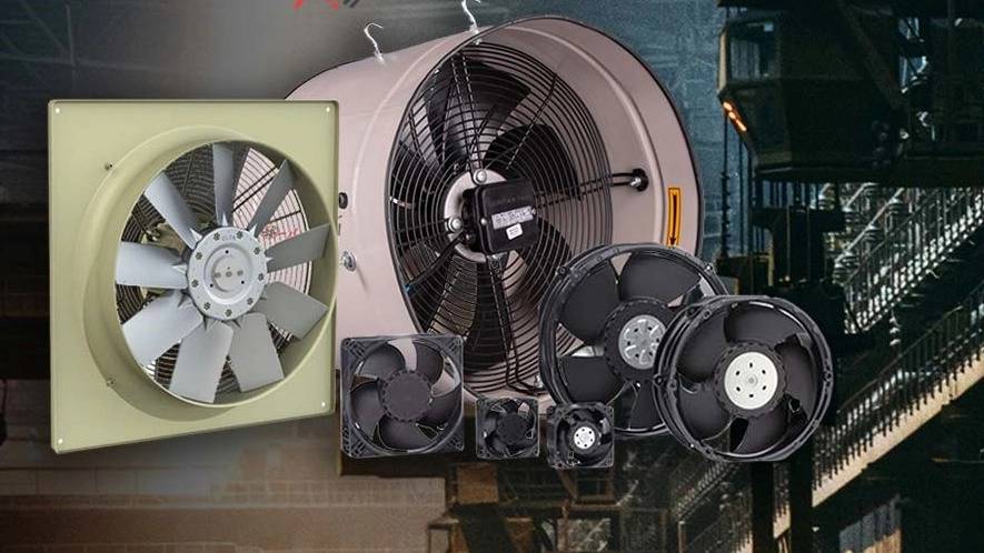 کولاک فن شیراز